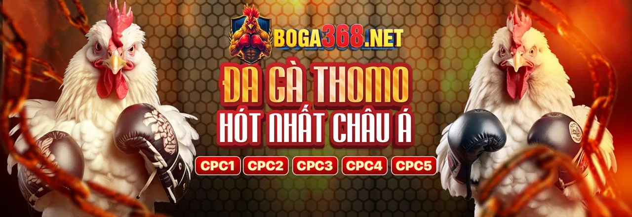 da ga thomo hom nay tại W88
