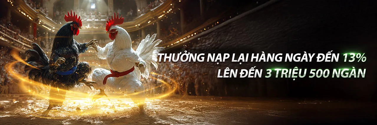 Da ga thomo hom nay truc tiep tai W88